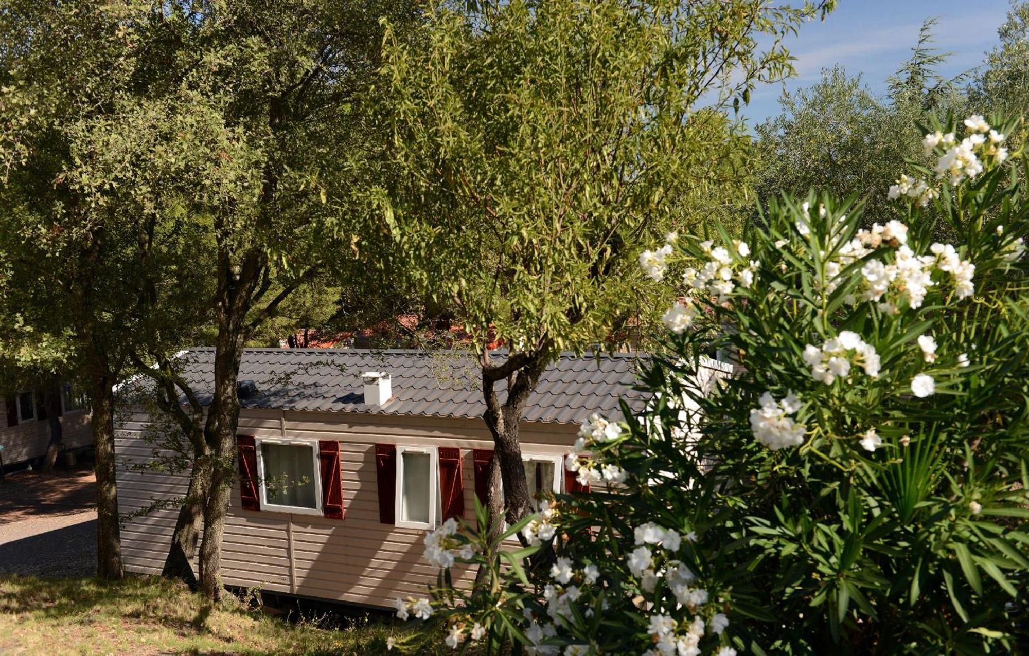 Domaine Residentiel De Plein Air Odalys La Pinede Agde Zewnętrze zdjęcie