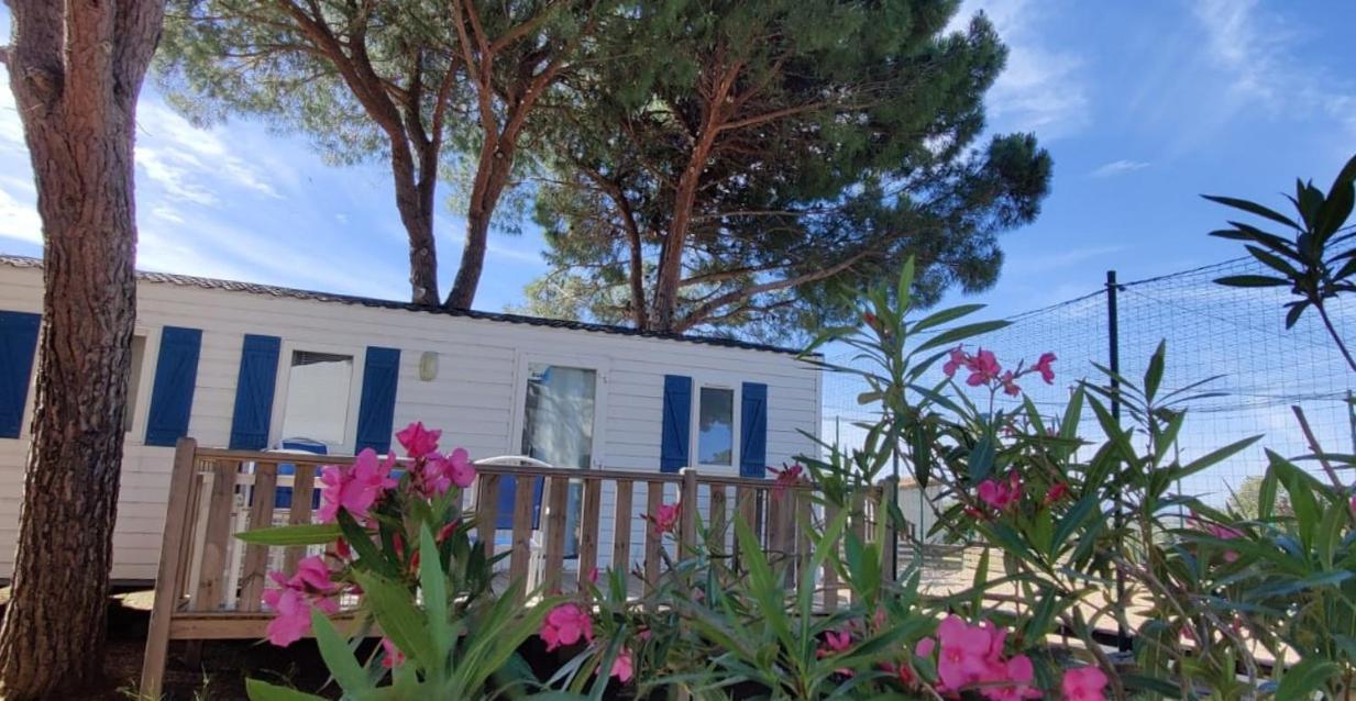 Domaine Residentiel De Plein Air Odalys La Pinede Agde Zewnętrze zdjęcie