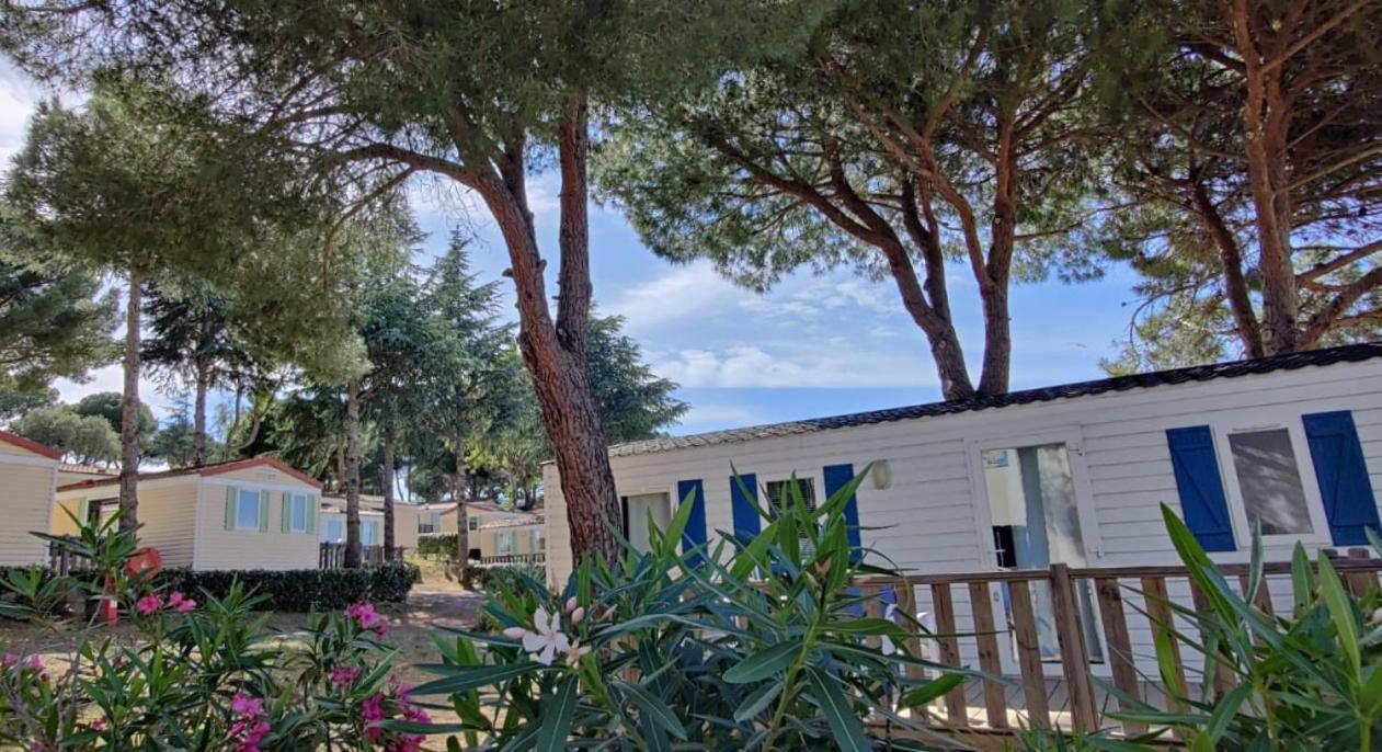 Domaine Residentiel De Plein Air Odalys La Pinede Agde Zewnętrze zdjęcie