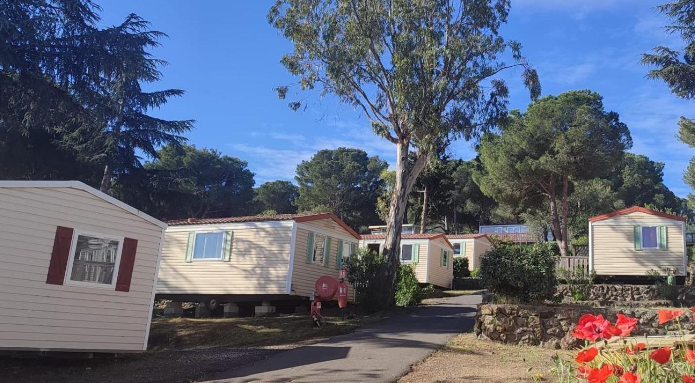 Domaine Residentiel De Plein Air Odalys La Pinede Agde Zewnętrze zdjęcie